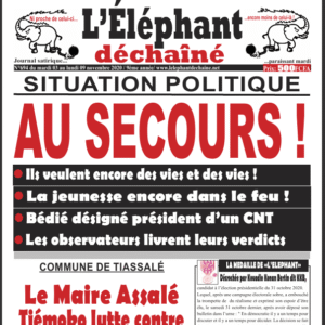 L’Éléphant Déchainé N°694