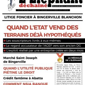 Quand l’Etat vend des terrains déjà hypothéqués