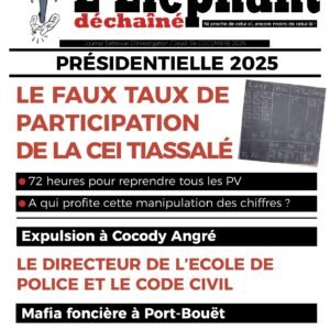 Le faux taux de participation de la CEI Tiassalé